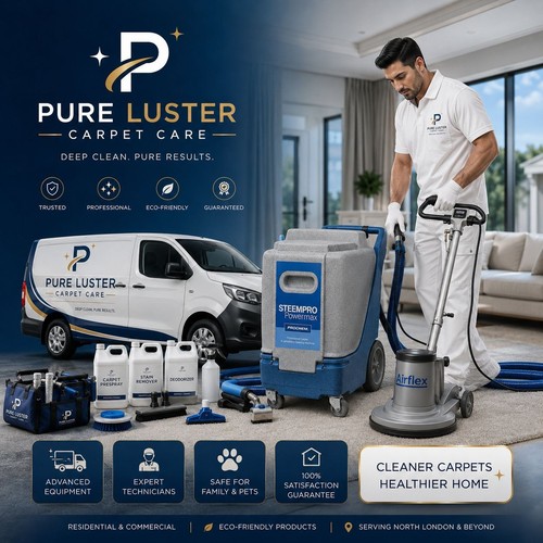 Sofa and carpet cleaning - sofa,